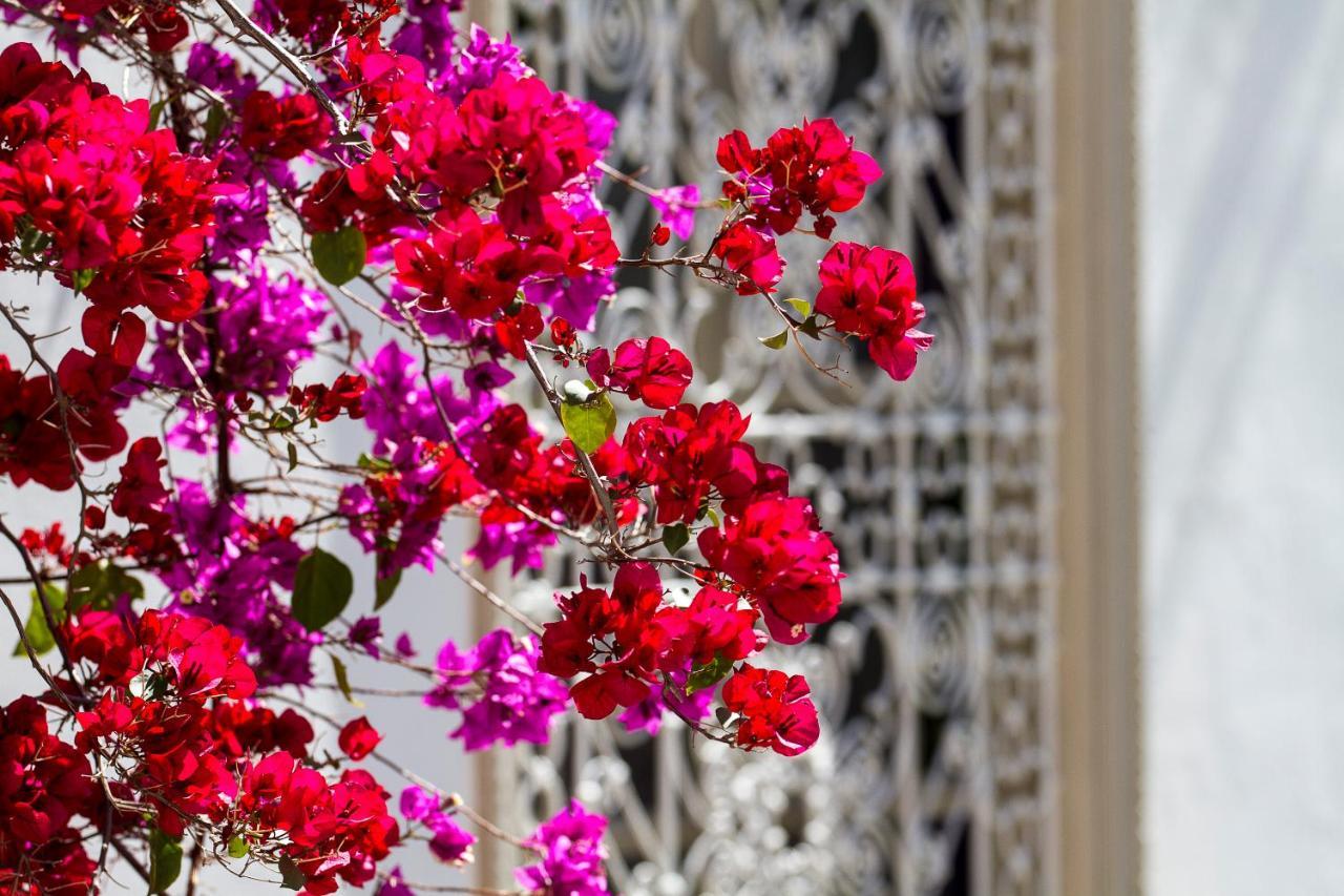 Riad Clémentine Marraquexe Exterior foto